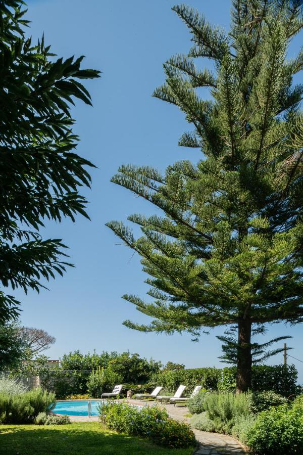 Villa Gli Ulivi Ανακάπρι Εξωτερικό φωτογραφία