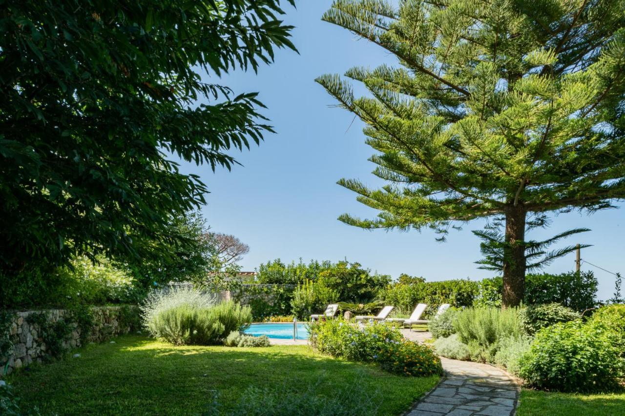 Villa Gli Ulivi Ανακάπρι Εξωτερικό φωτογραφία